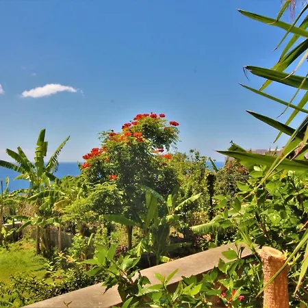 Apartment With Very Big Garden Near Beach